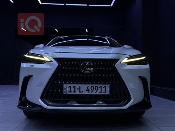 لێکزس NX 2024  بۆ فرۆشتن لە عێراق - کەربەلا